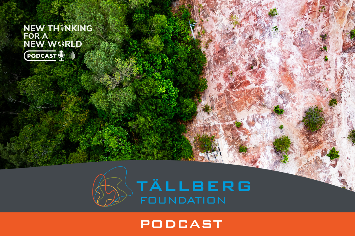 Thinking Differently About the Rainforests