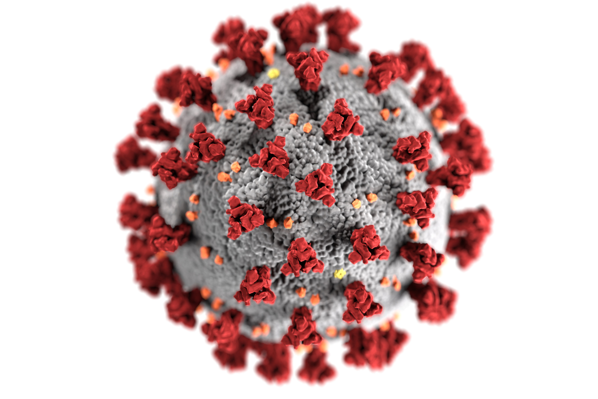 Window on the current pandemic