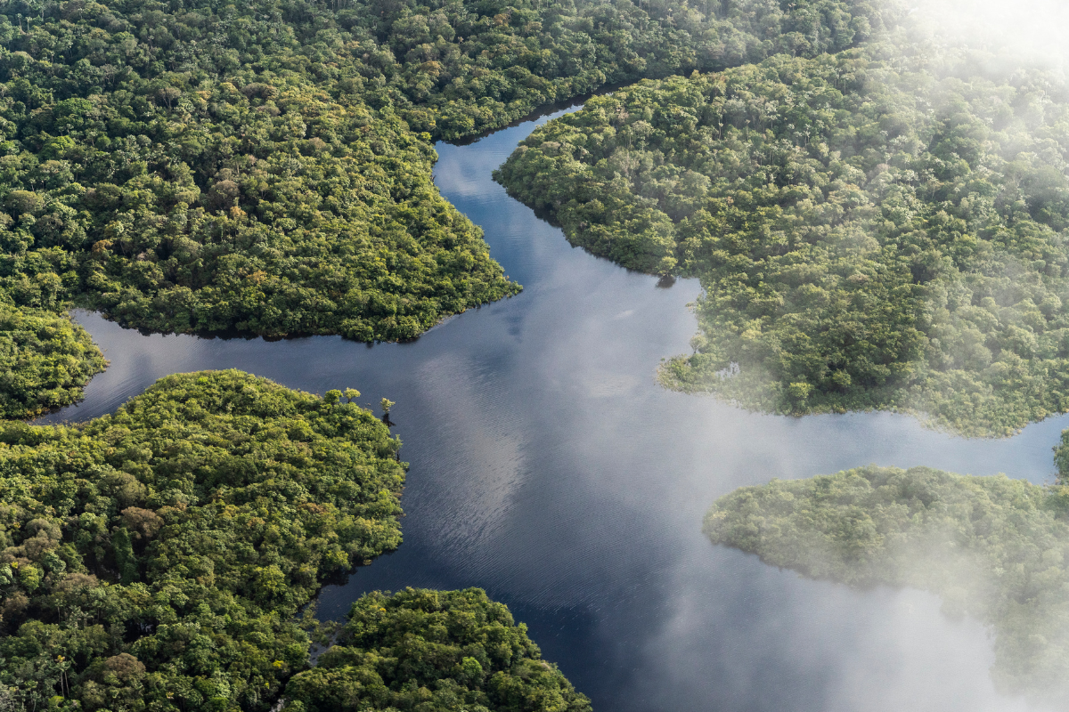 Webinar: Seeking a Better Future for the Amazon and the Congo