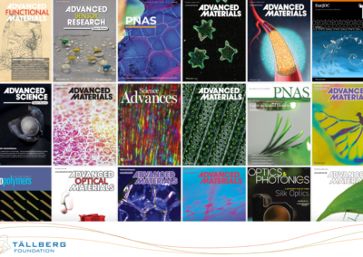 Workshop: Thinking About Sustainability