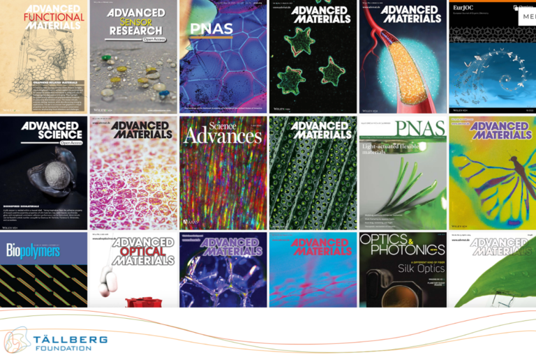 Workshop: Thinking About Sustainability