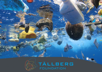 Webinar: Save the Seas