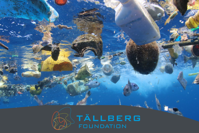 Webinar: Save the Seas