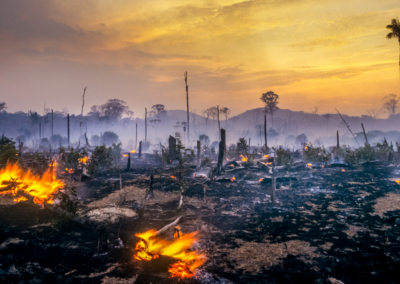 Burning Down the House